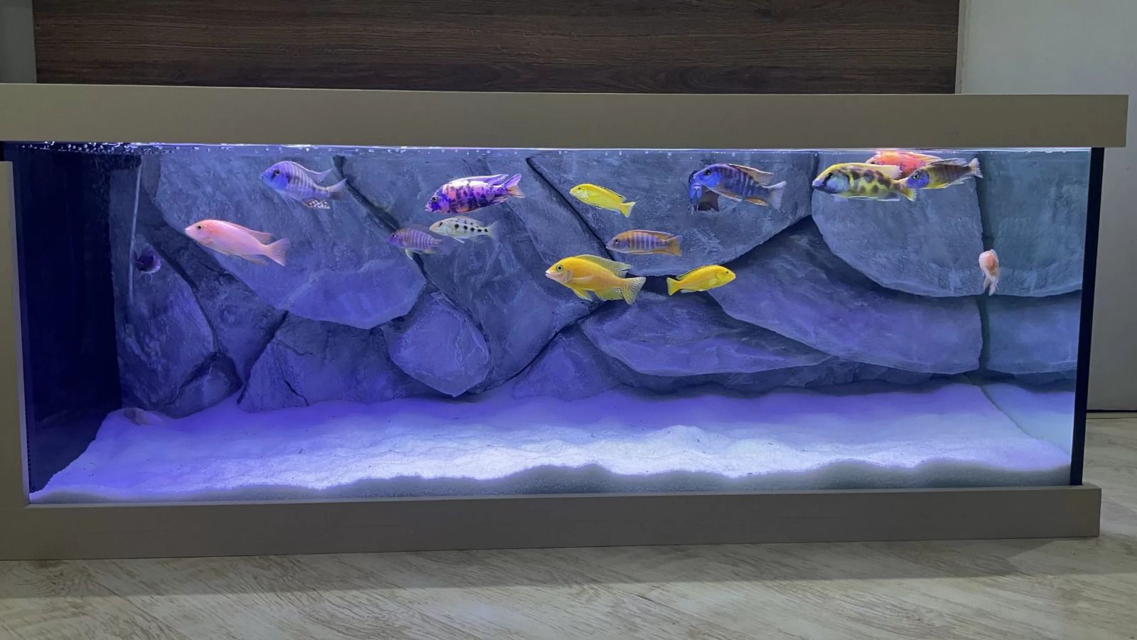 Imagem do WhatsApp de 2025-07-21 à(s) 10.12.37_dc637971