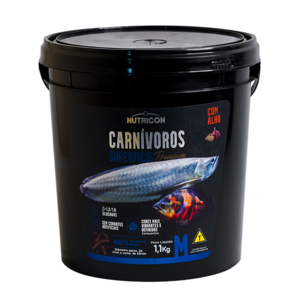 Carnivoros-Superficie-M-11Kg-01