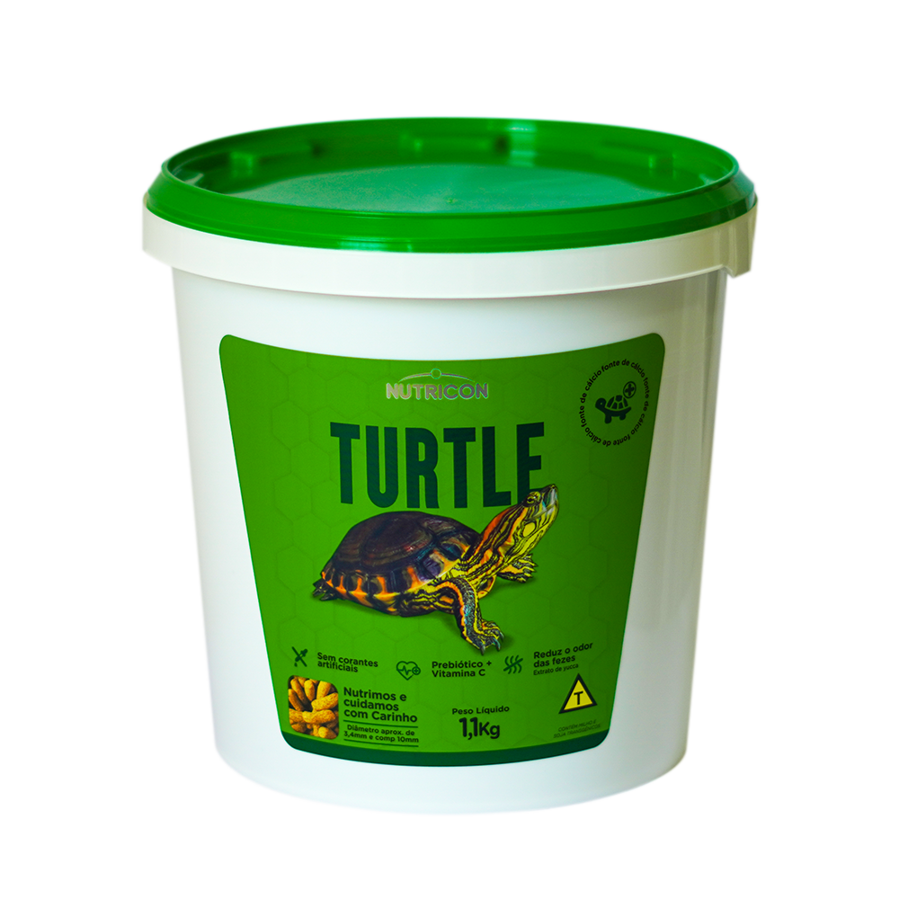 Turtle-11kg-01