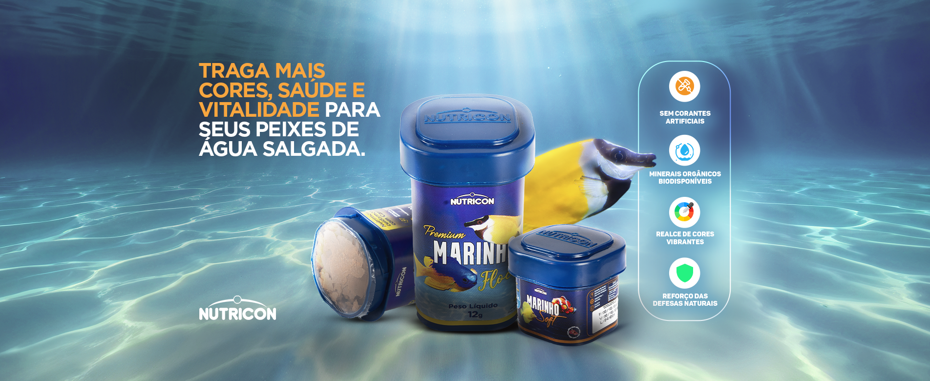 BANNERS ATUALIZADO SITE - MARINHOS